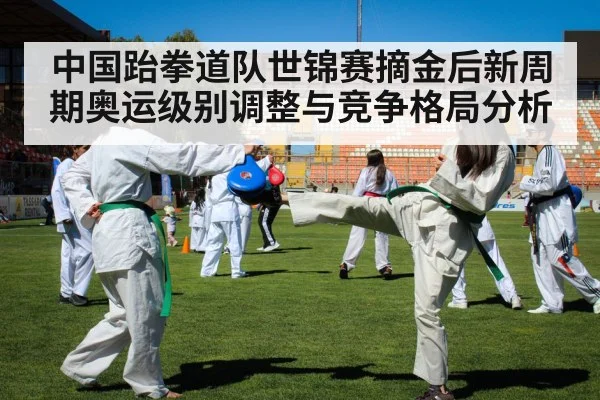 中国跆拳道队世锦赛摘金后新周期奥运级别调整与竞争格局分析