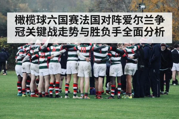 橄榄球六国赛法国对阵爱尔兰争冠关键战走势与胜负手全面分析